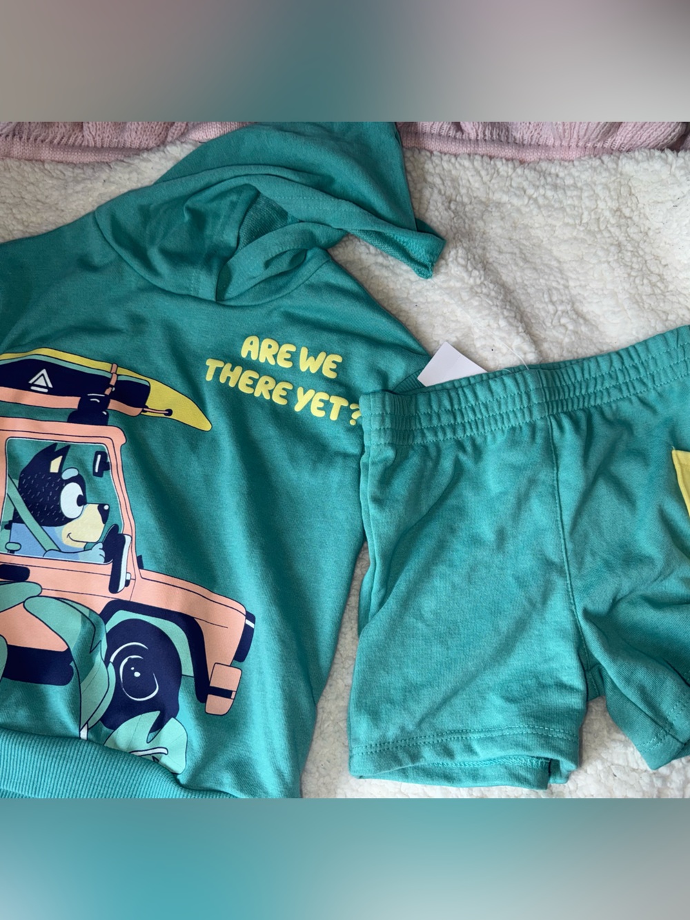 Bluey Green Shirt & Shorts Set 3T NWT